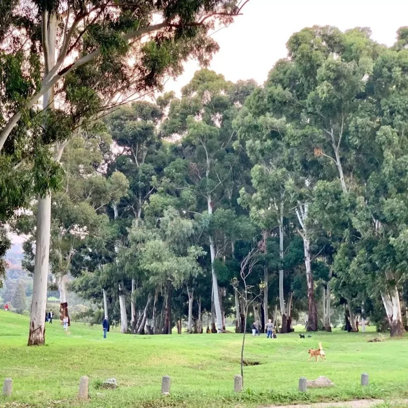 James & Ethel Gray Park — photo 6