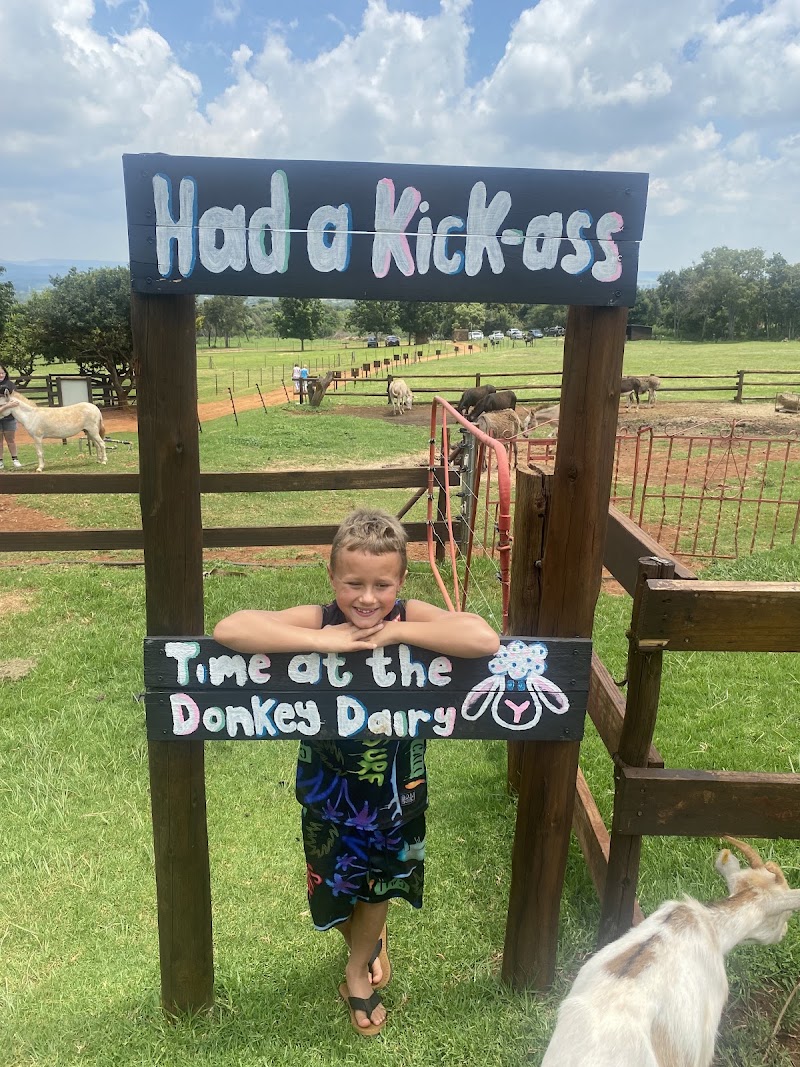 Donkey Dairy — photo 3