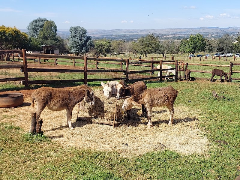 Donkey Dairy — photo 5