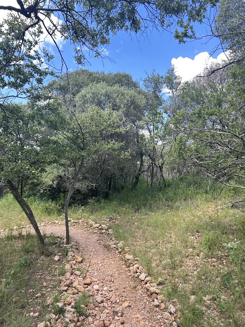 Rietfontein Nature Reserve — photo 4