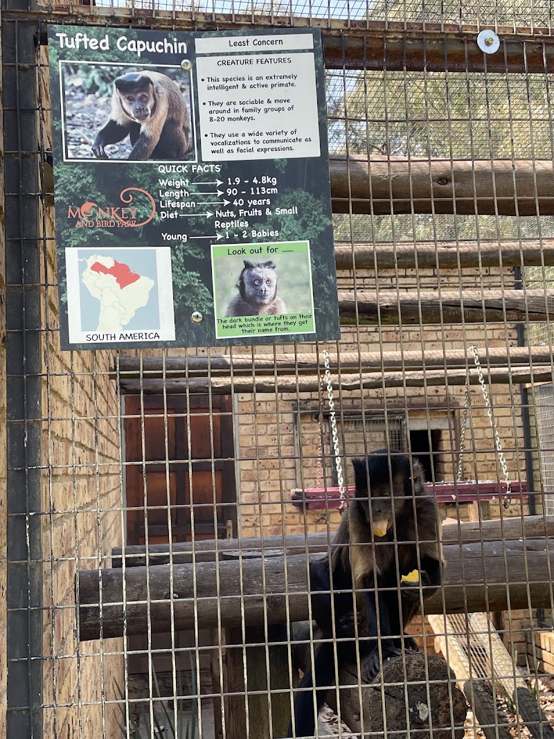 Benoni Monkey & Bird Park — photo 4