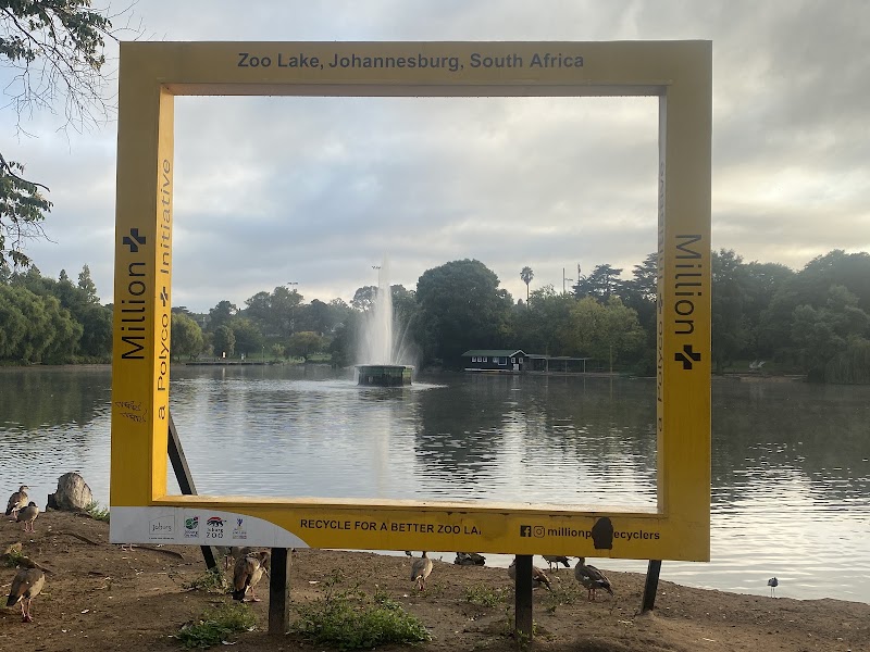 Zoo Lake — photo 11