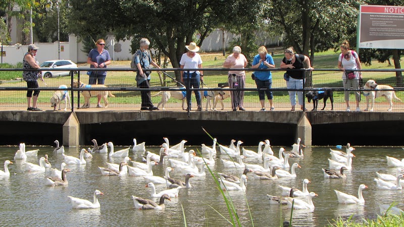 Zoo Lake — photo 9