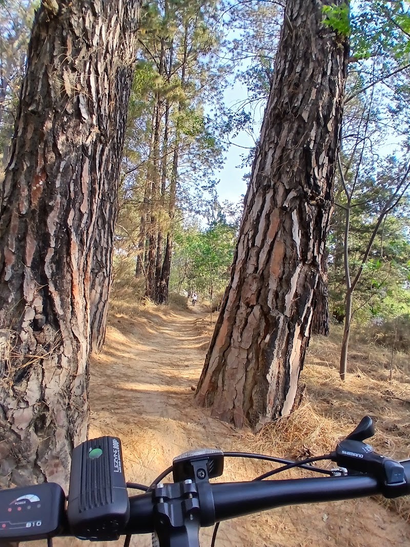 PwC bike park — photo 6
