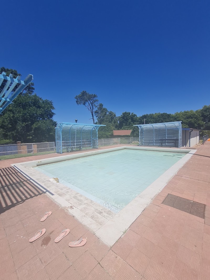 Zoo Lake public pool — photo 5