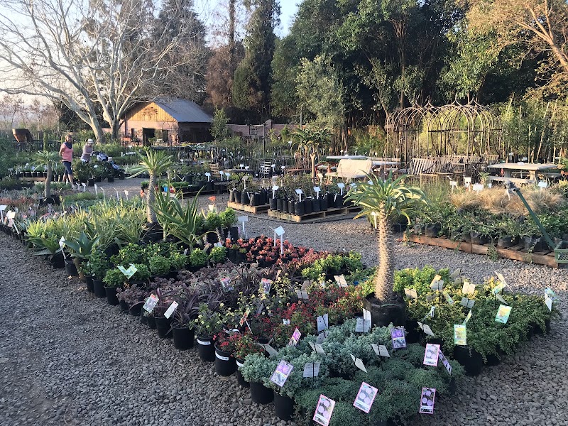 Willow feather farm — photo 2