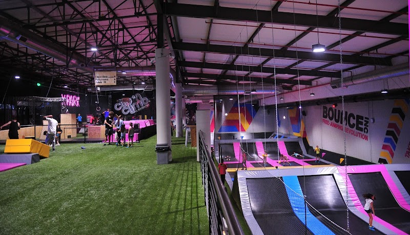 Bounce — photo 6
