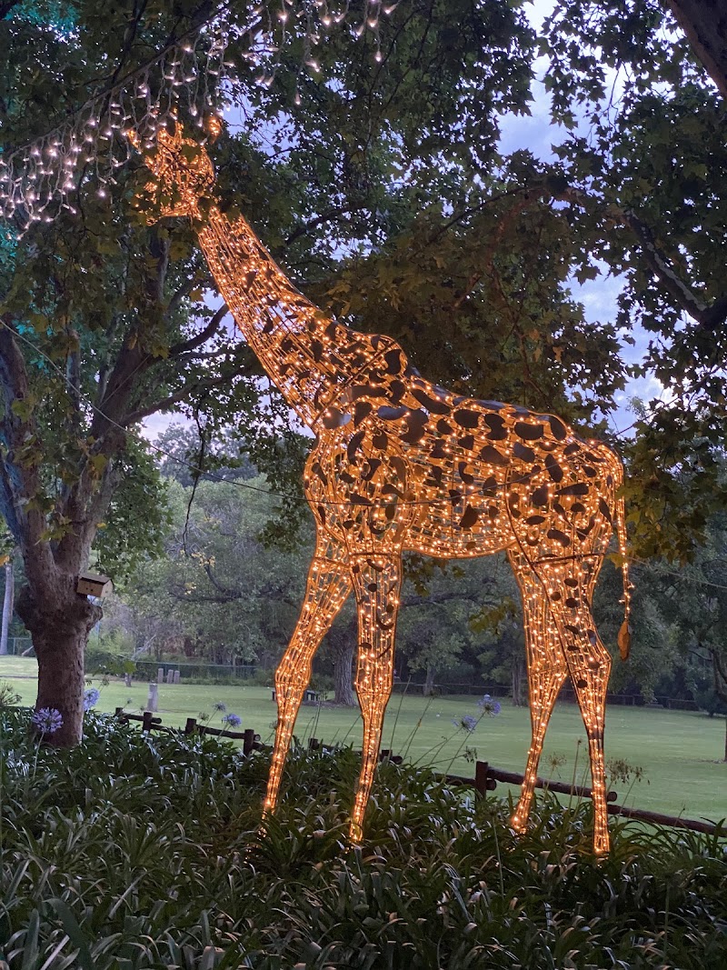 Johannesburg zoo — photo 3