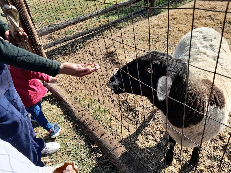 The Glen party farmyard — photo 5