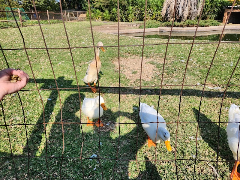 The Glen party farmyard — photo 6