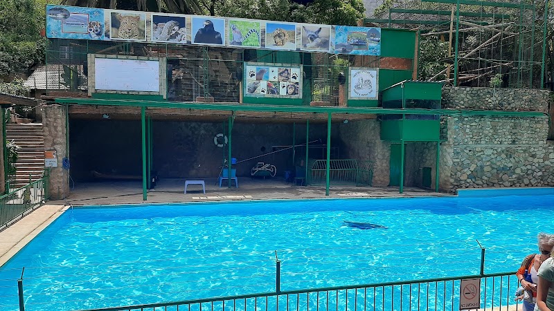 Hartebeespoort dam snake & animal park — photo 4