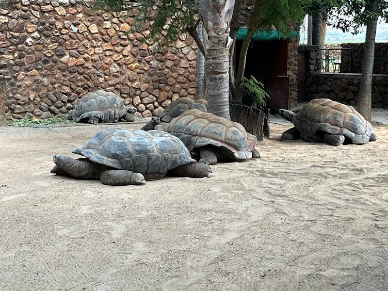 Hartebeespoort dam snake & animal park — photo 3