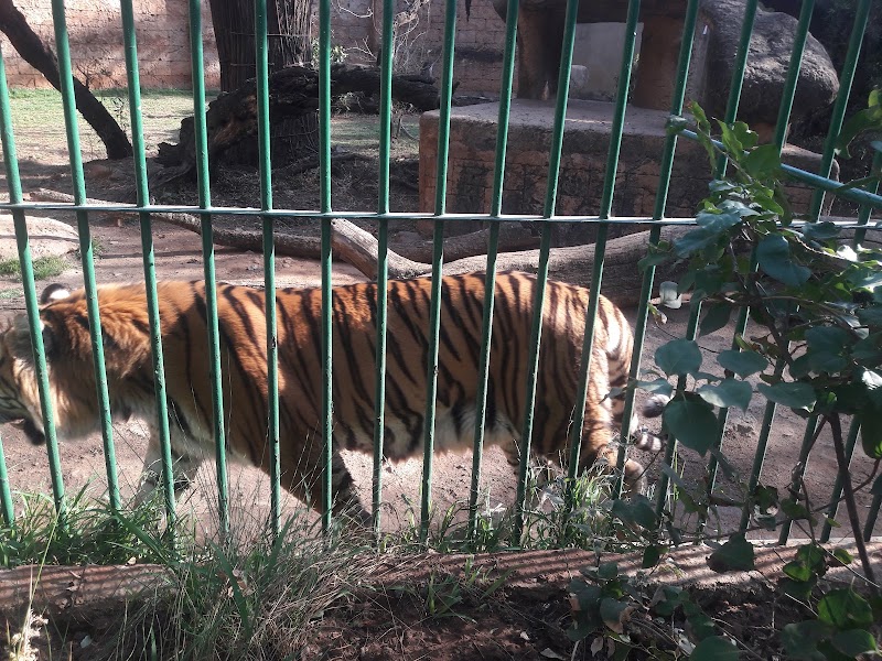 Hartebeespoort dam snake & animal park — photo 2