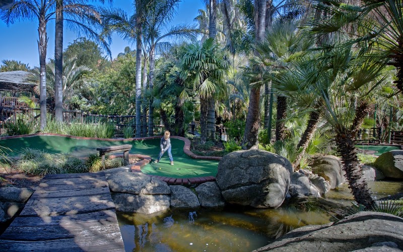 Adventure golf (Brightwater commons)