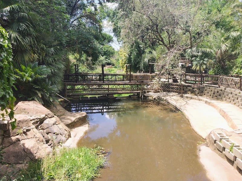 Adventure golf (Brightwater commons) — photo 6