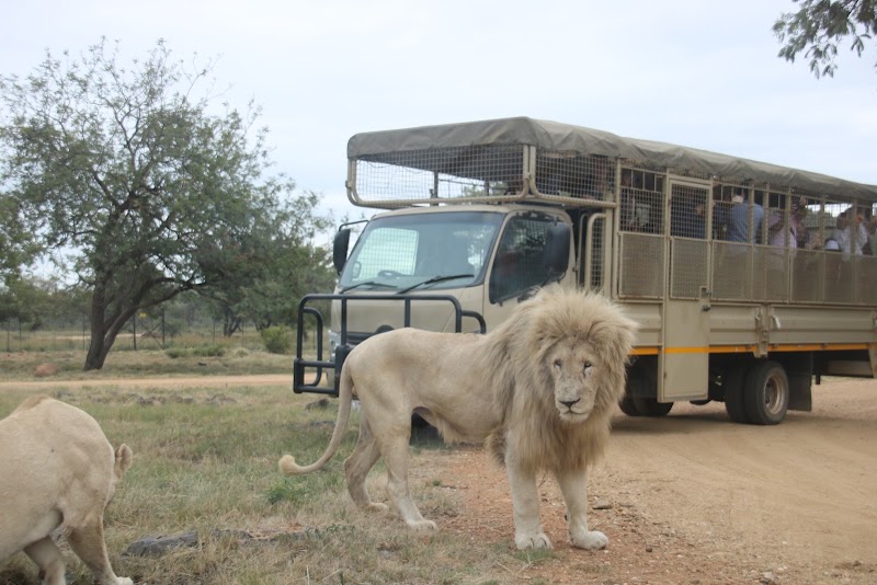 Lion and Safari Park — photo 6