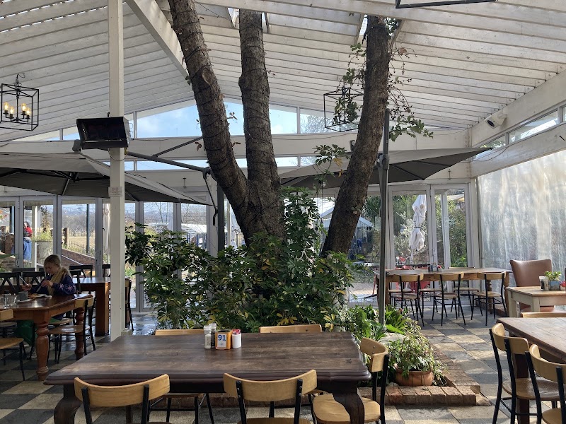 Delta cafe — photo 5
