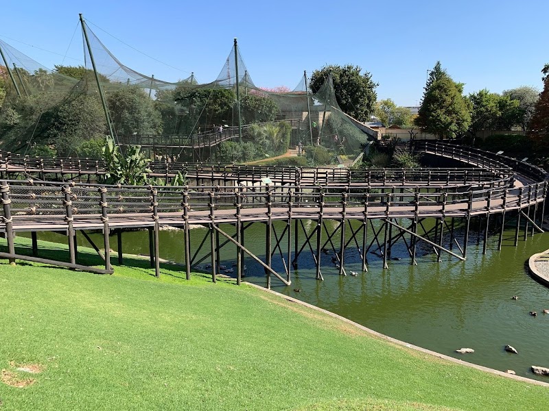 Montecasino Bird Gardens — photo 3