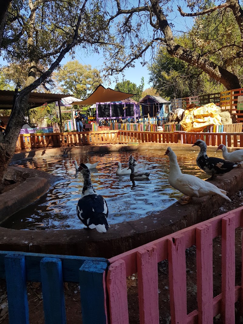 Bunny Hop Haven — photo 3