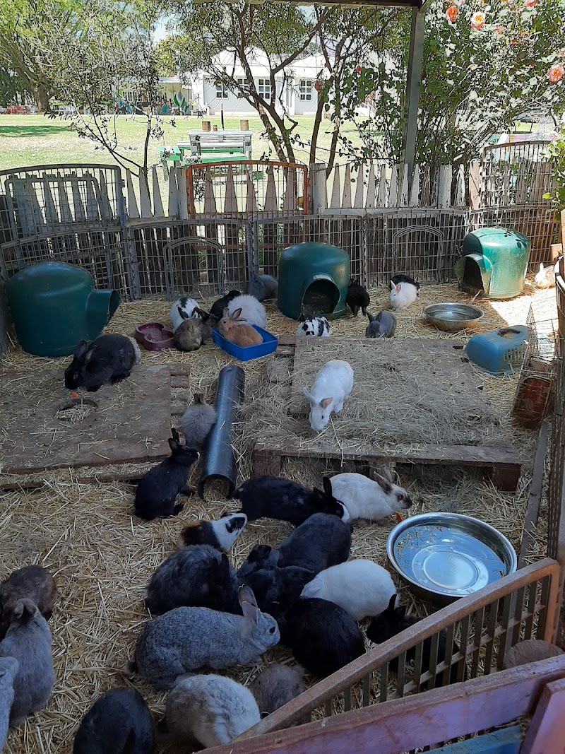 Bunny Hop Haven — photo 6