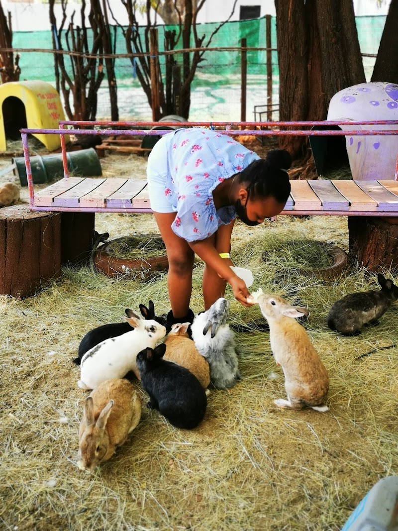 Bunny Hop Haven — photo 2