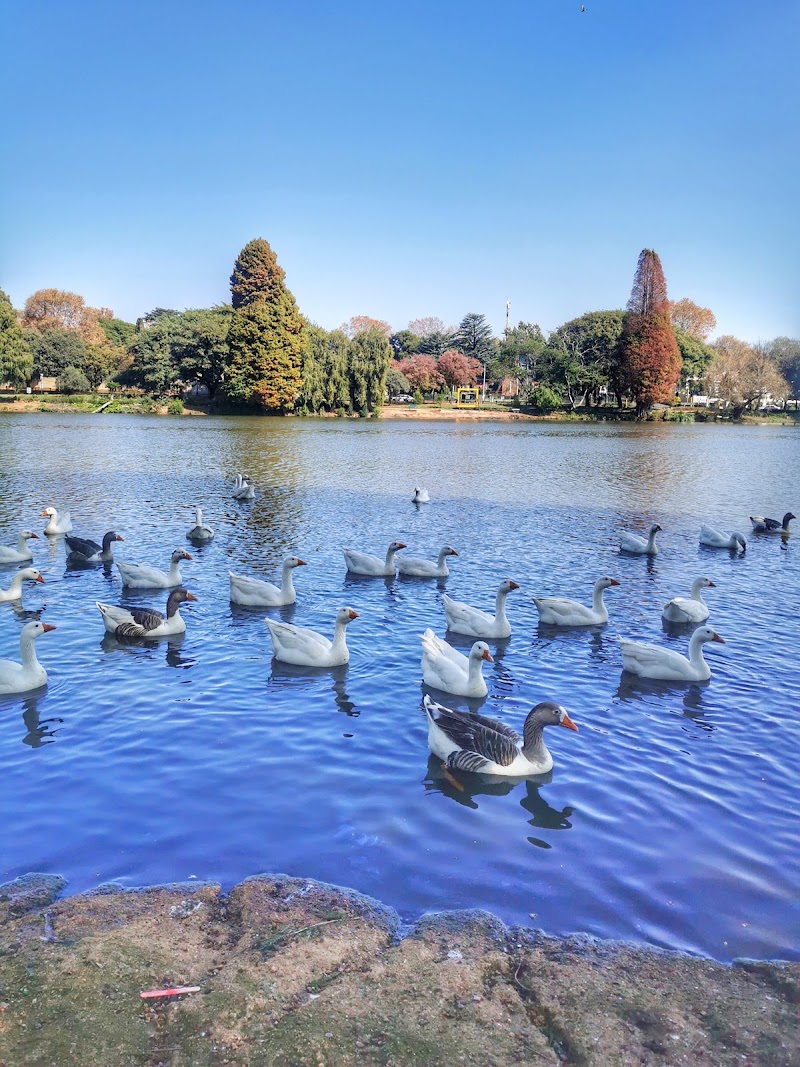 Zoo Lake — photo 6