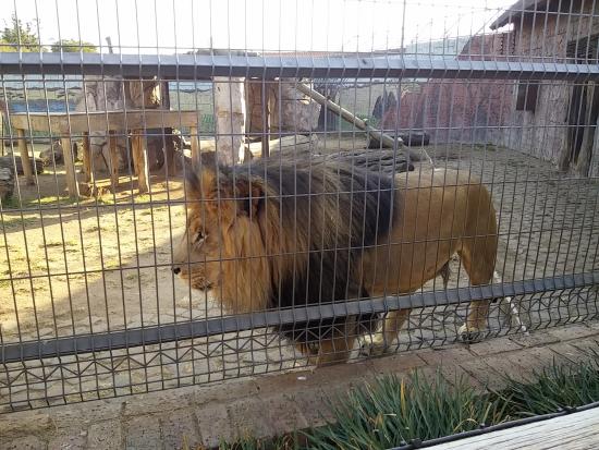 Lory Park Zoo — photo 2