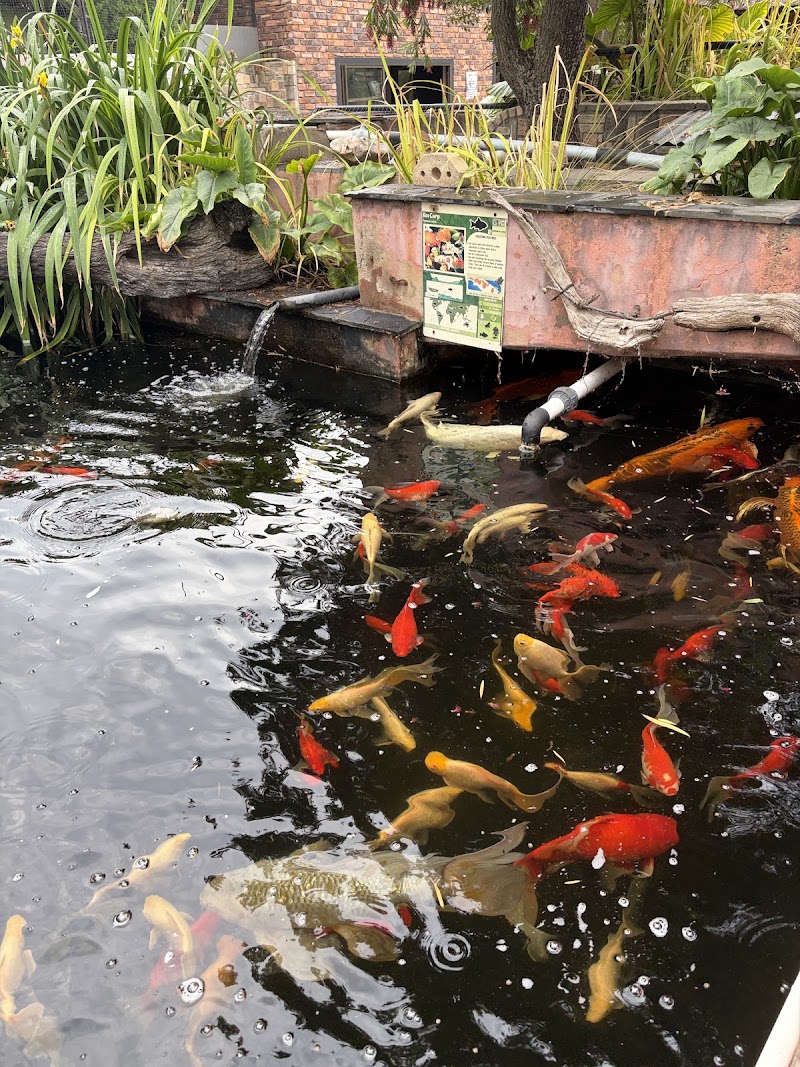 Lory Park Zoo — photo 3