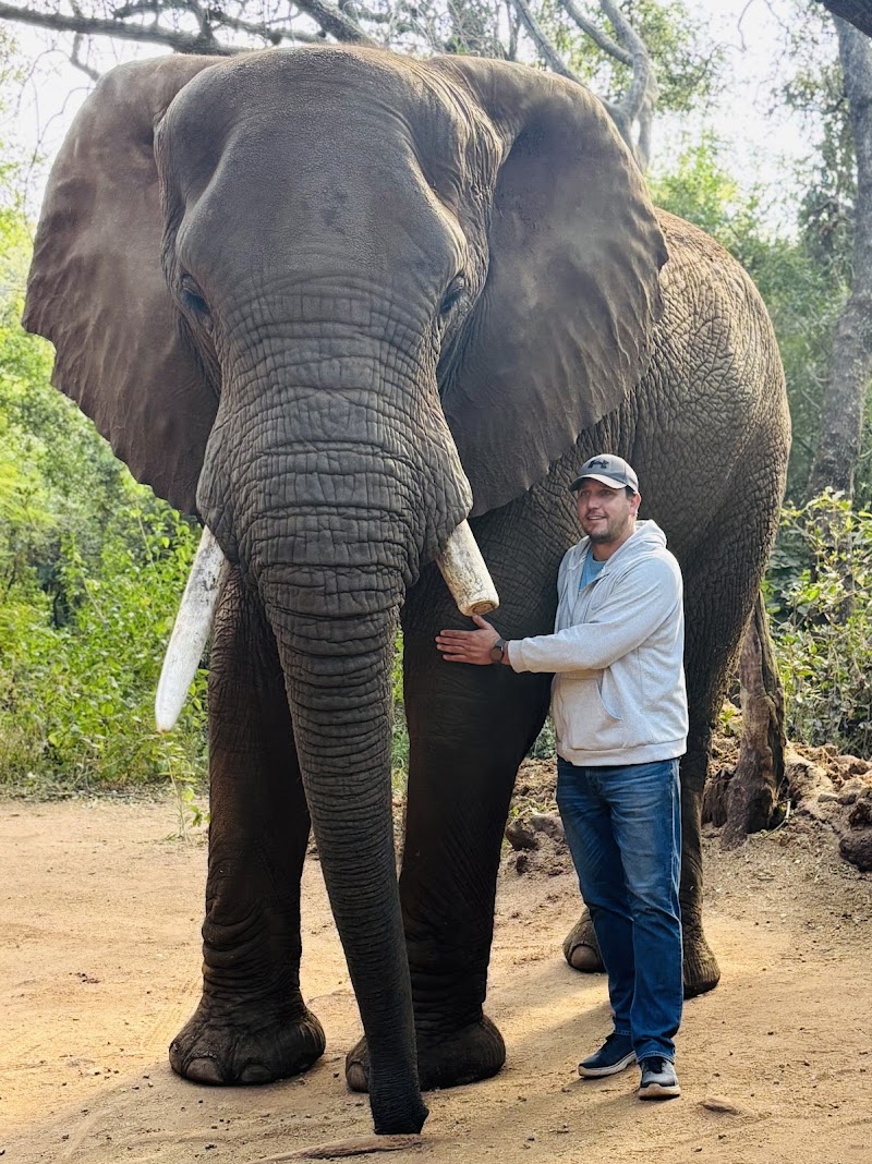 Elephant Sanctuary — photo 2