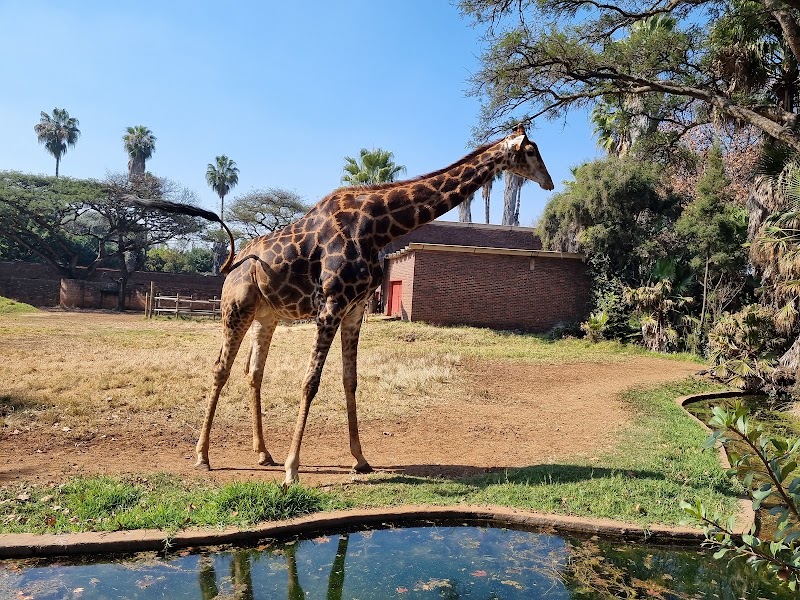 Pretoria Zoo — photo 3