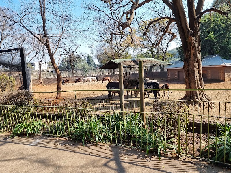Pretoria Zoo — photo 4