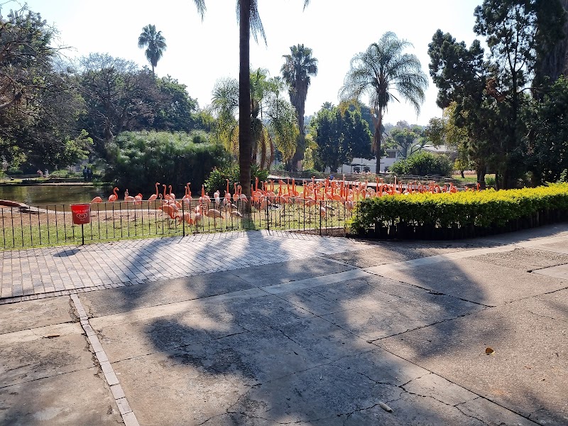Pretoria Zoo — photo 5