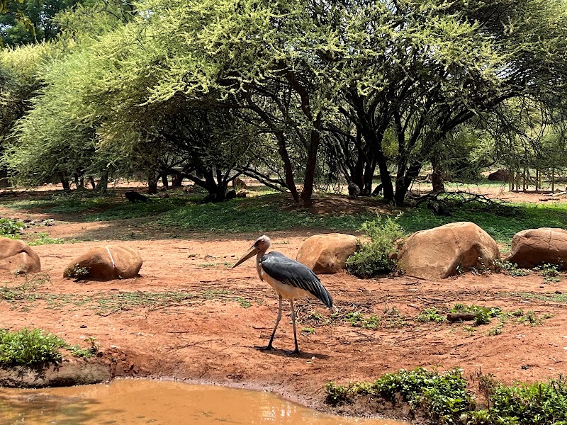 Pretoria Zoo — photo 6