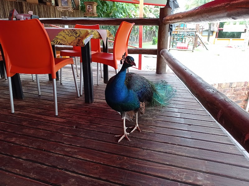 Mozambik — photo 5