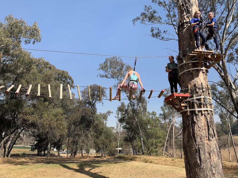 Acro branch — photo 2