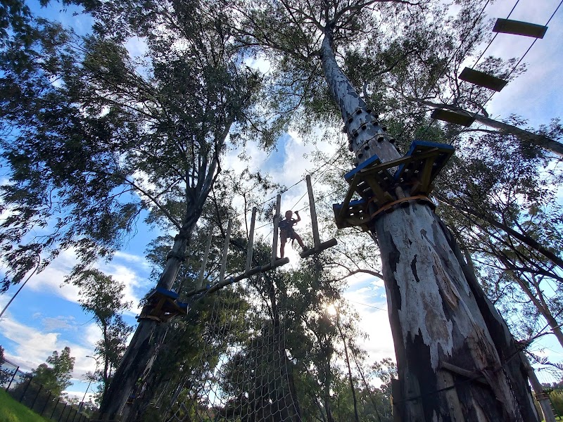 Acro branch — photo 6